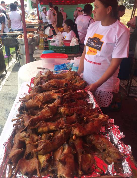 Remate del Carnaval con gastronomia: Carnaval del cuy en Pasto Remate del Carnaval con gastronomia: Carnaval del cuy en Pasto