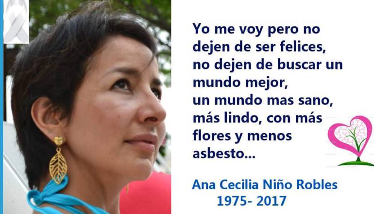 Murió la mujer que abogaba porque se prohibiera el asbesto: La mujer que buscaba que en Colombia se prohibiera el asbesto será sepultada en Boyacá