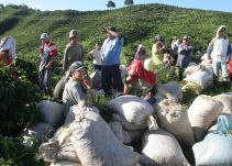 Campesinos estarían cocinando una nueva jornada nacional de protesta en el 2017