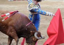 ¿Qué va a pasar con las corridas de toros en Colombia?