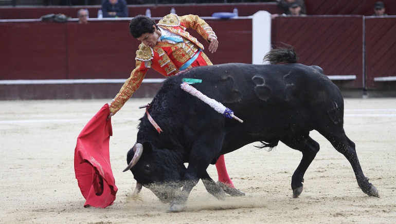 Toros en Bogotá: Peñalosa reversó su decisión y permitirá manifestaciones en La Santamaría
