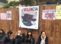 Antitaurinos llegan a la Corte a pedir penalización de la fiesta brava