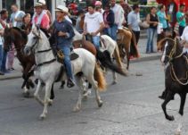 La cabalgata sin maltrato animal dará apertura al Aguinaldo Boyacense en Tunja