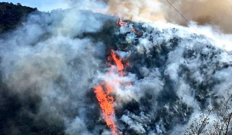 Controlado en un 80% incendio forestal en Tenjo, Cundinamarca - Caracol Radio