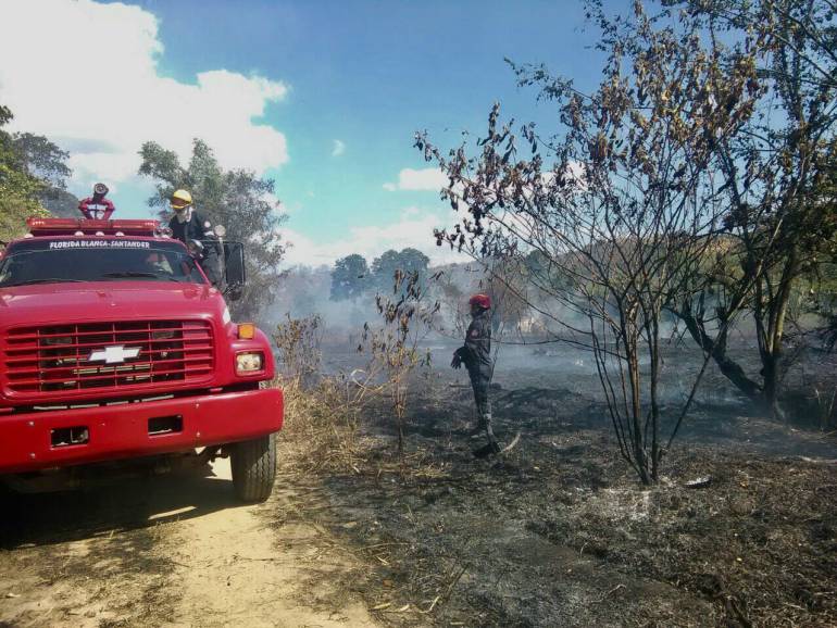 Controlan incendio forestal en el Carrasco - Caracol Radio