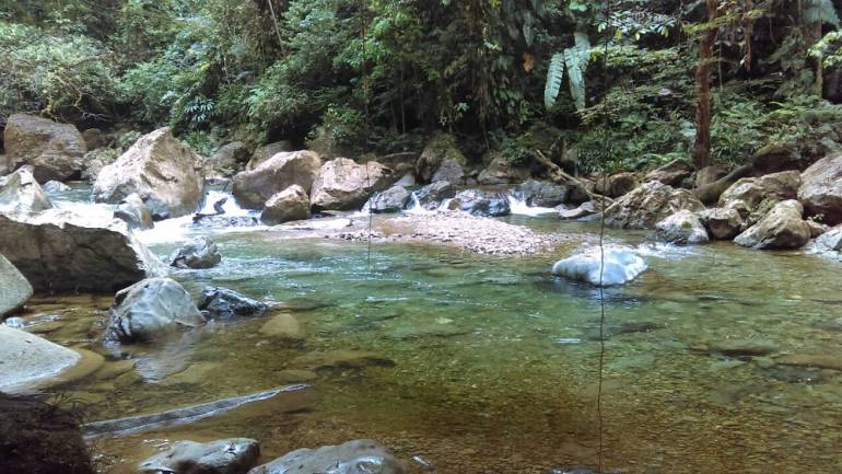 Distrito de Buenaventura sin servicio de agua potable: Sin agua, más del 50% del municipio de Buenaventura por fuerte verano