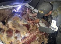 Incautaron 400 libras de carne no aptas para el consumo humano en Boyacá