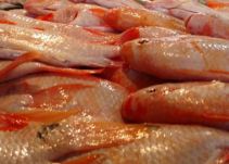 En Caldas entregan recomendaciones para la compra de pescado