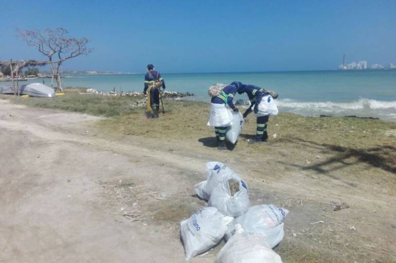 Aseo Urbano recolectó dos toneladas de residuos en jornada de limpieza en Punta Arena: Aseo Urbano recolectó dos toneladas de residuos en jornada de limpieza en Punta Arena