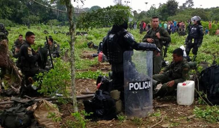 Indígenas rechazan la erradicación de cultivos ilícitos
