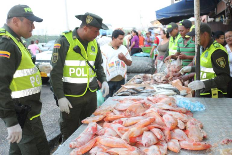Policía realiza controles a venta de pescado en Cartagena: Policía realiza controles a venta de pescado en Cartagena