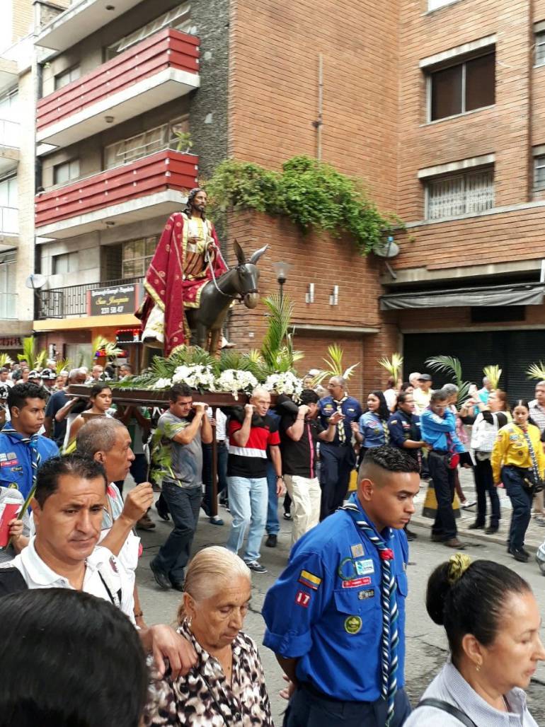 Continua la comercialización de palma de cera