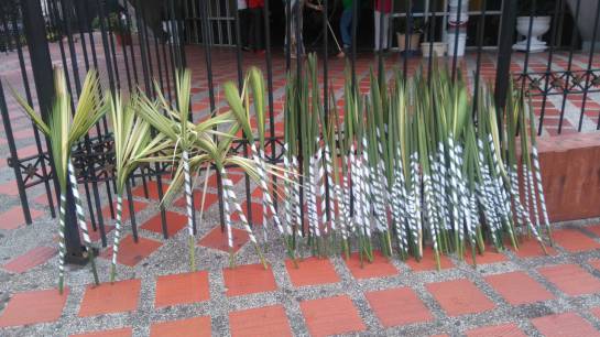 Palma de cera, semana santa, Policía, Medellín: En Medellín persiste la venta y uso de palma de cera en el Domingo de Ramos Palma de cera, semana santa, Policía, Medellín: En Medellín persiste la venta y uso de palma de cera en el Domingo de Ramos