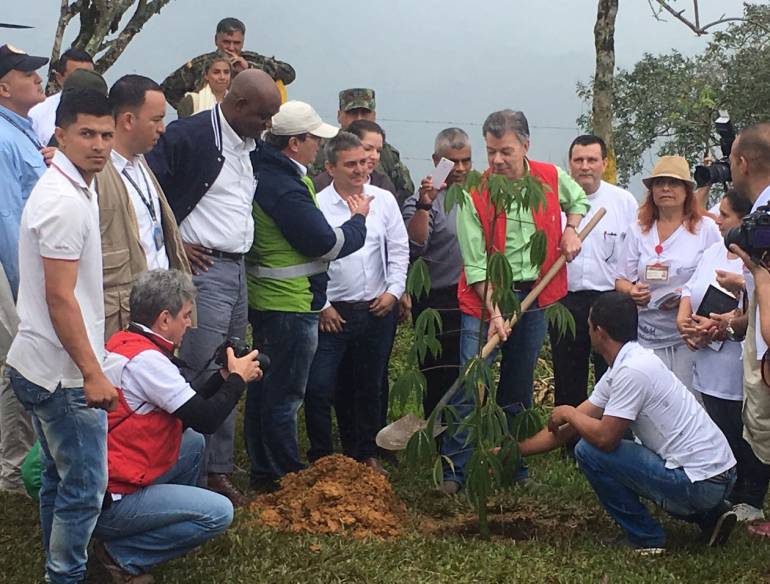 PRESIDENTE SANTOS PAZ GRANADA SIEMBRA ÁRBOLES: Presidente Santos inauguró los Bosques de Paz, en memoria de víctimas