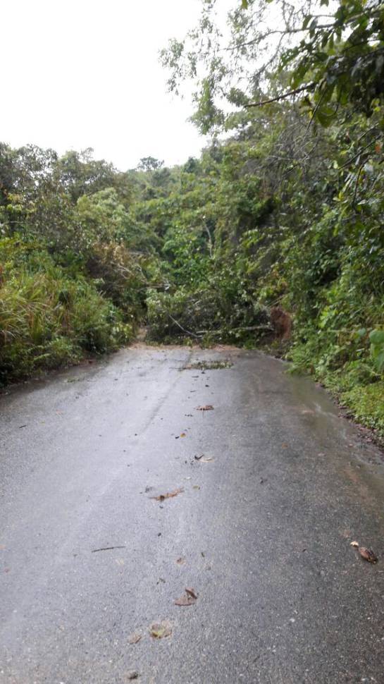 Vía Alvarado-Anzoategui taponada por derrumbes/Gobernación del Tolima-Cortesía. Vía Alvarado-Anzoategui taponada por derrumbes/Gobernación del Tolima-Cortesía.