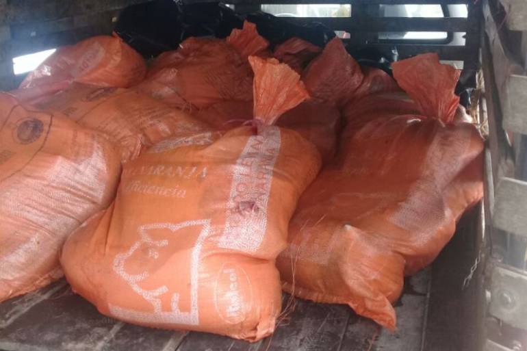 Policía incautó más de 400 kilos de carne de cerdo en Cartagena: Policía incautó más de 400 kilos de carne de cerdo en Cartagena