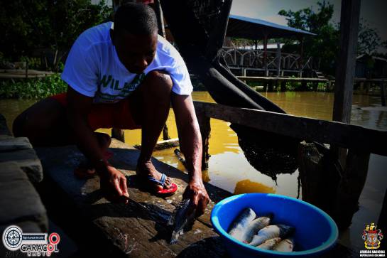 La pesca es una de las principales actividades económicas de la zona La pesca es una de las principales actividades económicas de la zona