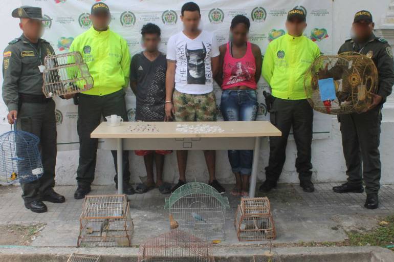 Policía de Cartagena rescata animales en vía de extinción avaluados en 41 millones: Policía de Cartagena rescata animales en vía de extinción avaluados en 41 millones