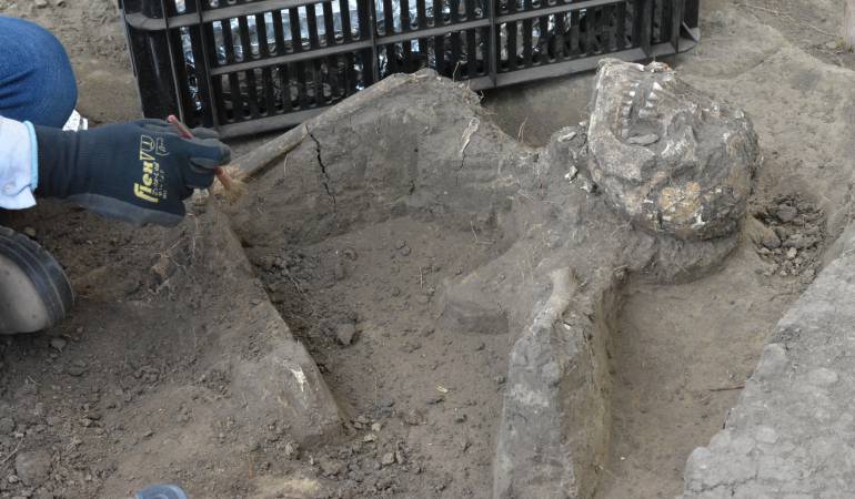 aruqeología, hallazgo, nueva, esperanza, cundinamarca, epm: Descubren ciudadela precolombina en el altiplano cundiboyacense