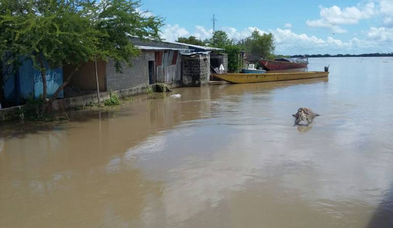 Temporada de lluvias se mantendrá hasta junio — Ideam
