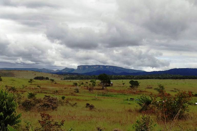 Bolívar, entre los 20 departamentos con mayor sobrecarga agropecuaria en el país: Bolívar, entre los 20 departamentos con mayor sobrecarga agropecuaria en el país