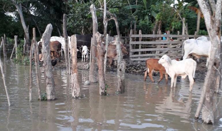 Inundaciones en Sucre
