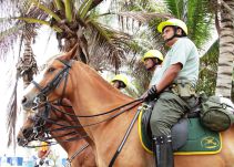 Policía aumenta pie de fuerza ambiental en Cartagena por solicitud de Procuraduría