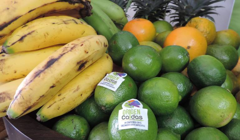 Manizale; Caldas; agricultura; productos; campo: Caldas aumentó sus áreas de cultivos