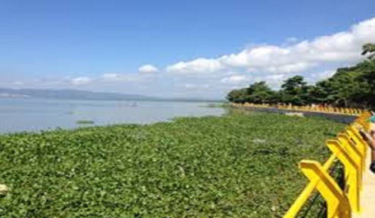 Draga para puerto de Barranquilla: Si hay que comprar una draga, cual es el problema?: Char