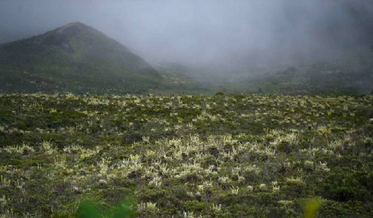 Páramo de Sumapaz