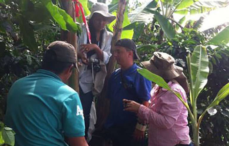 Investigadora de la Universidad Nacional de Palmira desarrolló proyecto para mejorar suelos cultivados con plátano