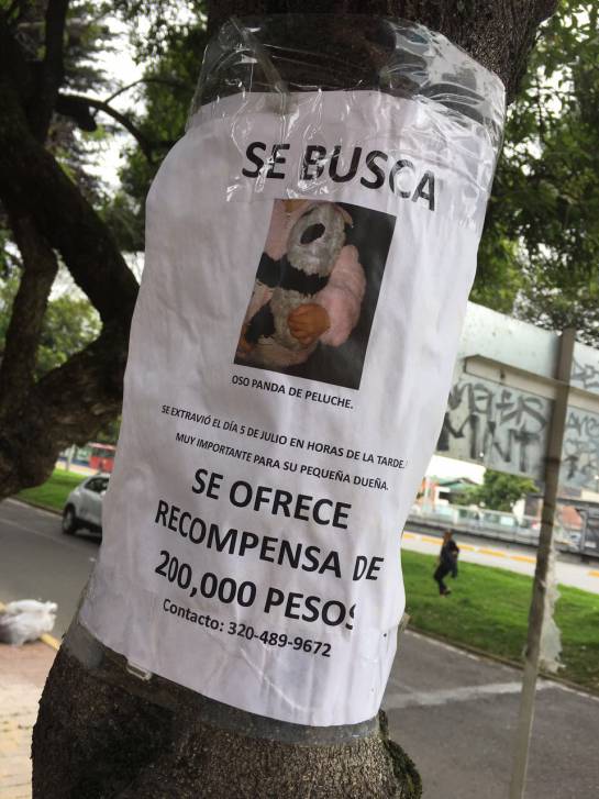 Ofrecen recompensa en Bogotá por un panda de peluche: Momo, el panda de peluche por el que ofrecen recompensa en Bogotá Ofrecen recompensa en Bogotá por un panda de peluche: Momo, el panda de peluche por el que ofrecen recompensa en Bogotá