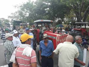 arroceros en el Huila: Comenzó el paro de los arroceros en el Huila arroceros en el Huila: Comenzó el paro de los arroceros en el Huila