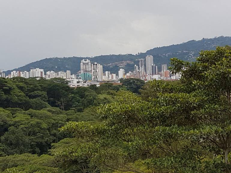 TEMBLOR SACUDIÓ A SANTANDER BUCARAMANGA LOS SANTOS: De 4.9 grados, el temblor que sacudió a Santander