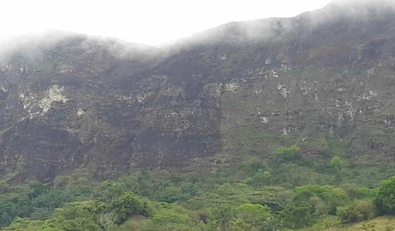 incendio forestal Tolima: Se controló incendio forestal que duró cinco días en Tolima