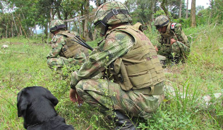 campesino murió en Cauca: Investigan la muerte de un campesino en confusos hechos con el Ejército en Cauca