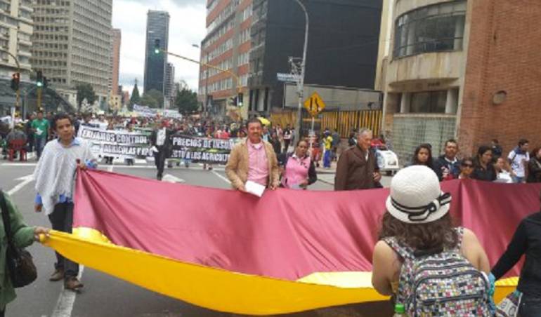 Arroceros en el Huila paro: Más de 1500 arroceros en el Huila entrarán a paro de manera indefinida