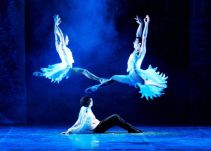 Velada de Ballet por primera vez en la ciudad