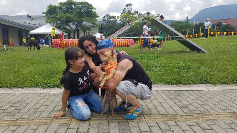 En Medellín hubo 82 solicitudes de adopción de animales en ocho días