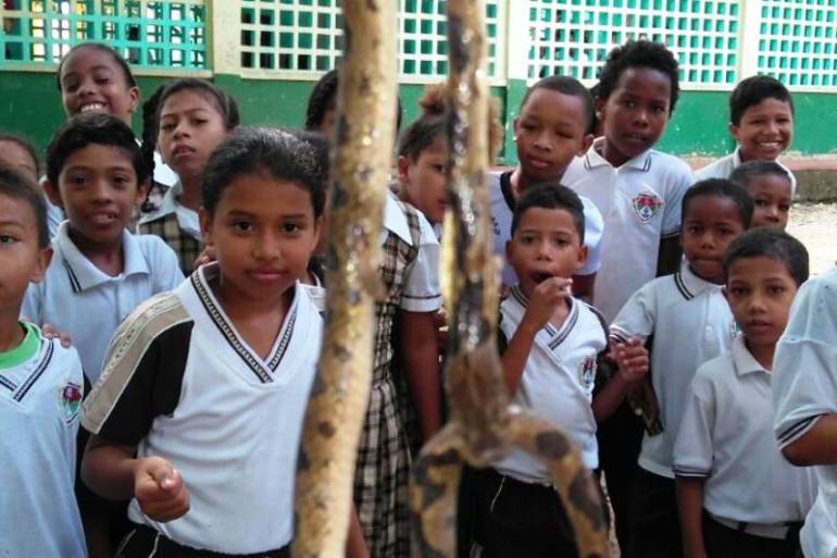 Miedo por aparición de serpientes en un colegio en Cartagena: Miedo por aparición de serpientes en un colegio en Cartagena