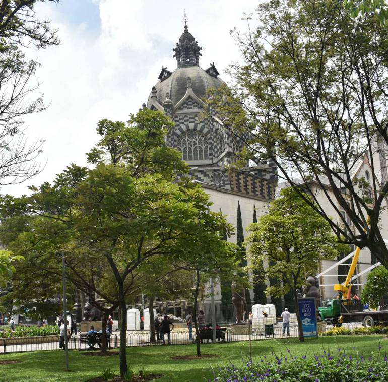 Medio ambiente: En Medellín son sembrados, semanalmente, 200 árboles