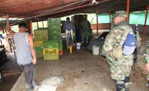 El Invima y el Ejército pollo: El Invima y el Ejército decomisaron más de seis toneladas de pollo El Invima y el Ejército pollo: El Invima y el Ejército decomisaron más de seis toneladas de pollo