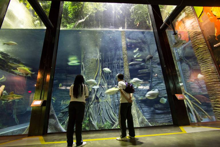 En Medellín se dialogará sobre la importancia de los museos
