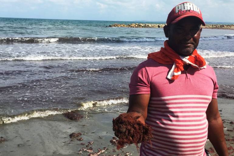 Algas rojas invaden playas de Cartagena: Algas rojas invaden playas de Cartagena