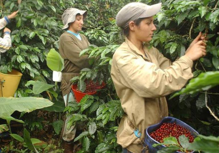 /FOTO CARACOL RADIO
