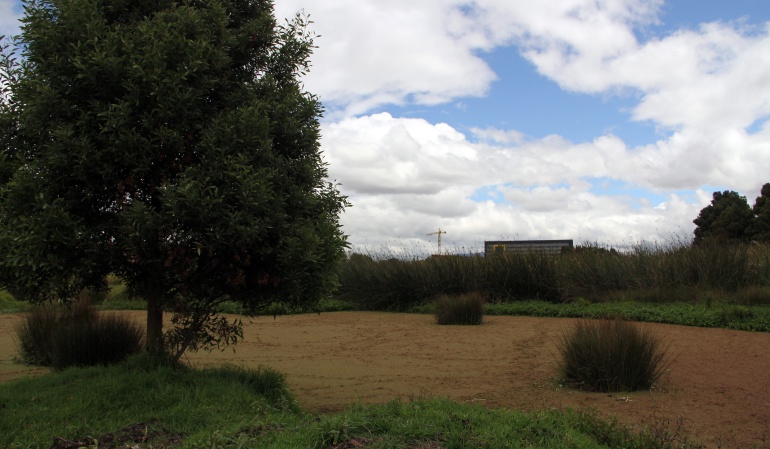 Construcción de obras en humedales: Decreto permitirá construir senderos peatonales y ciclorutas en humedales de Bogotá