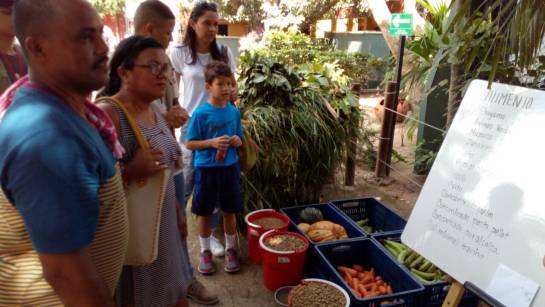 Familias conocen la dieta alimenticia del elefante Familias conocen la dieta alimenticia del elefante