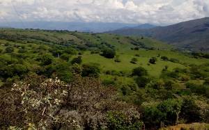 Turismo en Huila: Paicol, la villa de las maravillas naturales en el Huila Turismo en Huila: Paicol, la villa de las maravillas naturales en el Huila