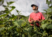 Campesinos de Boyacá le piden a Iván Duque no firmar más TLC
