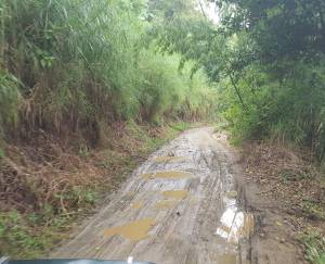 Así está la carretera de la vereda Cañaveral del municipio de Pijao, Quindío Así está la carretera de la vereda Cañaveral del municipio de Pijao, Quindío